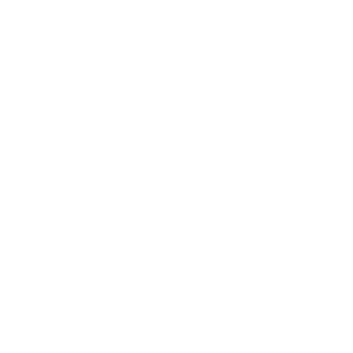 TERRA